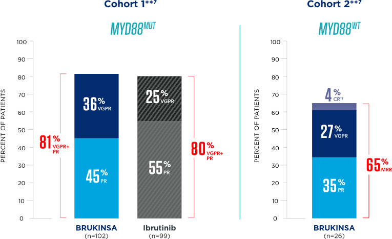 Consistent response data over time for BRUKINSA® (zanubrutinib) in subgroups with MYD88 mutations